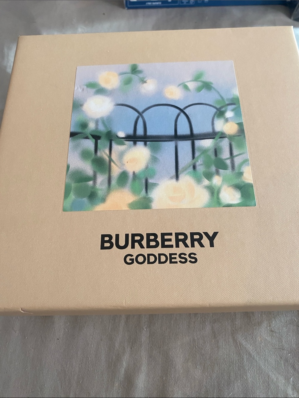 Burberry Beige Box with Pastel Floral Illustration